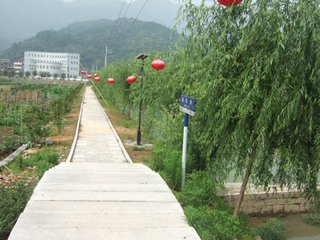 新農(nóng)村建設(shè)